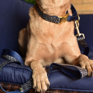 Navy & White Dog Collar 'Capri' Laminated Cotton Personalized Laser Engraved Dog Collar Metal Buckle Pet ID Tag Boy Dog Collar image 2