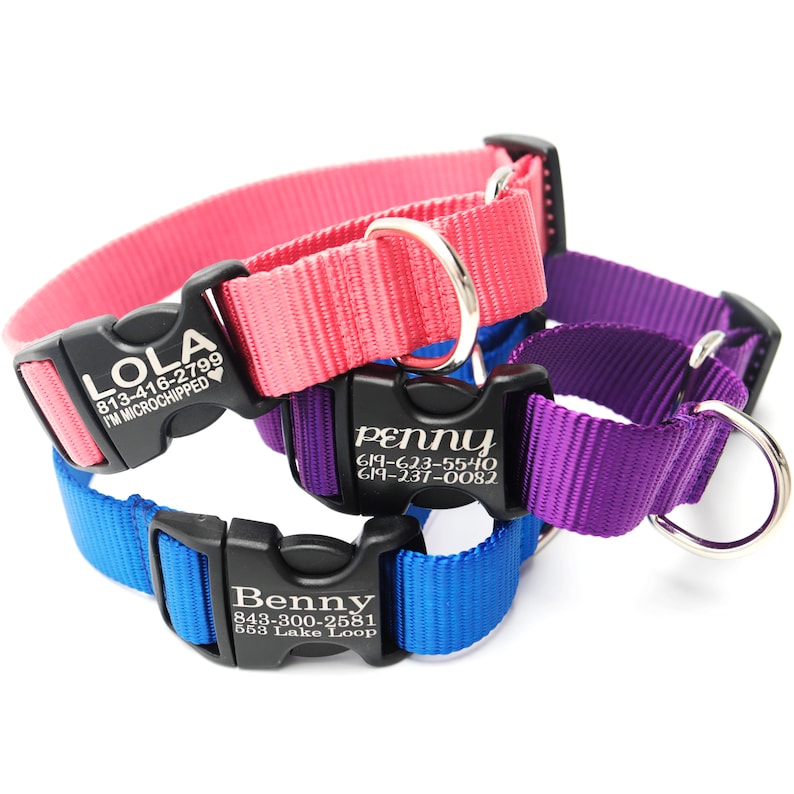 Buckle Martingale Dog Collar Personalized 27 Nylon Colors Limited Slip Collar Training Tightens When Pulled image 2