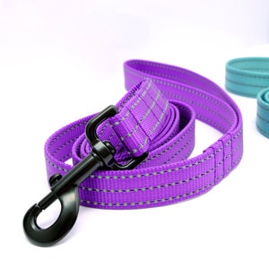 May include: A purple dog leash with reflective stitching and a black metal clip.