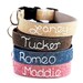 Hand Embroidered Linen Dog Collar Personalized with your dog's name (6 Colors)