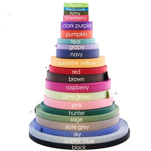 Engraved Personalized Metal Buckle Webbing Dog Collar with Hand Embroidery 18 colors image 4