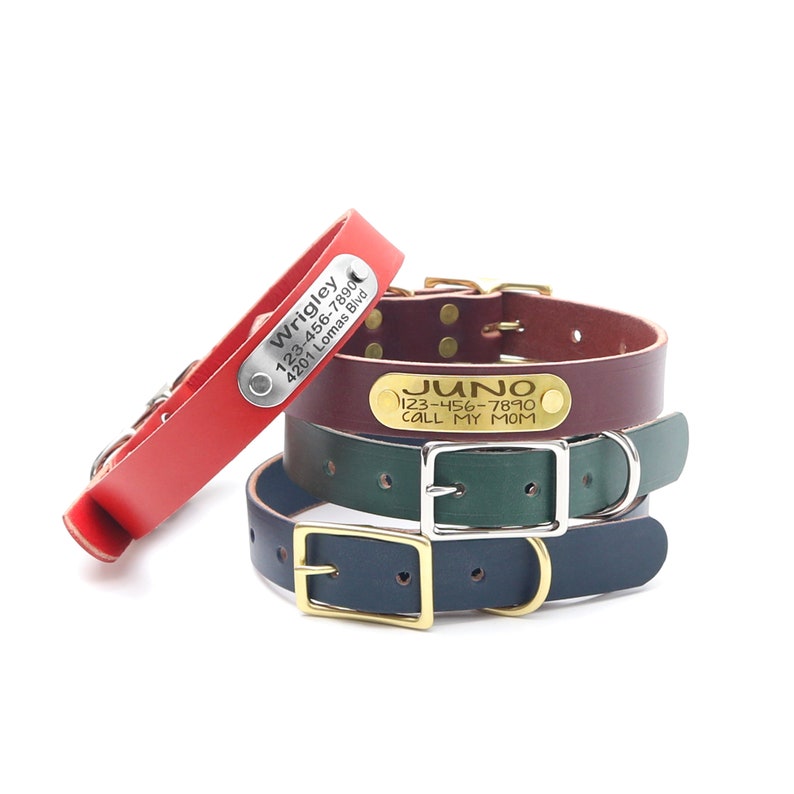 Engraved Leather Name Plate Dog Collar English Bridle Dog Etsy