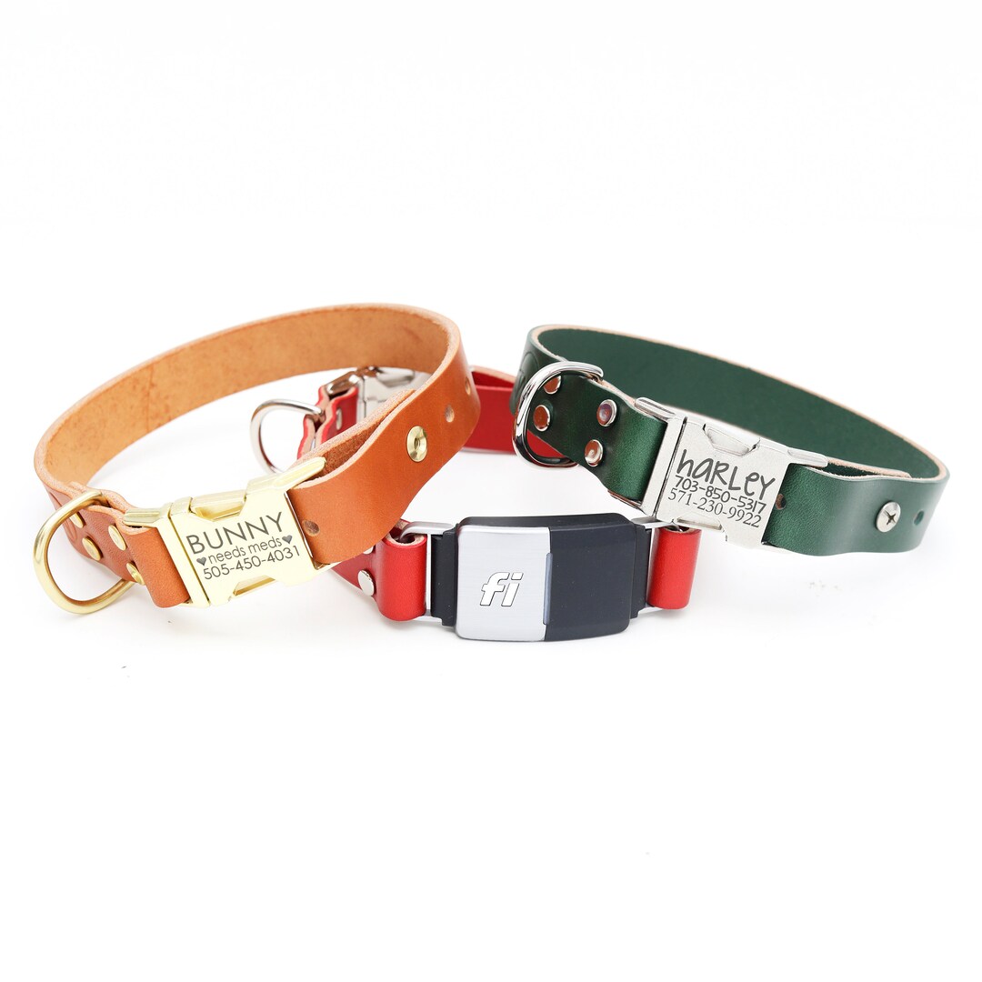 Fi Compatible Dog Collar Leather Dog Collar W Engraved Zinc BUCKLE 10