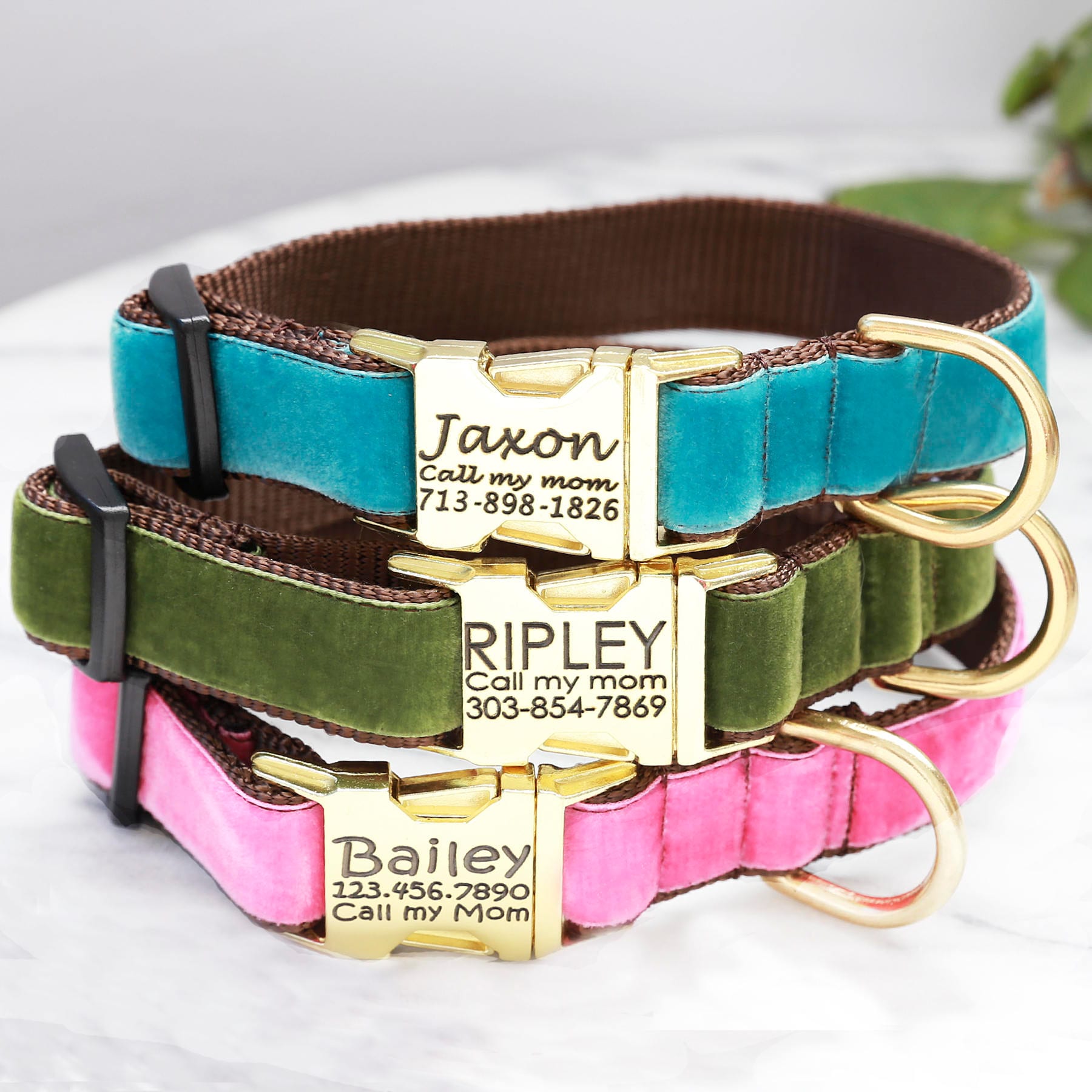 Engraved Velvet Dog Collar - Gold Zinc Metal Buckle Personalized -25 Colors- Id