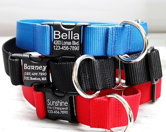 1.5 Inch Wide MARTINGALE Nylon Dog Collar | Large Breed Collar | Engraved Buckle Collar | Big Dog Collar | Greyhound Collar | Strong Collar