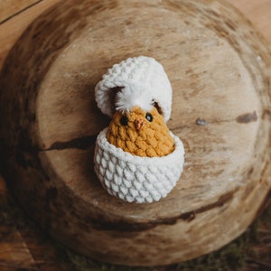 Hatching Chick Toy, Hatchling, Chicken, Sensory Toy, Stuffed Farm Animal, Chicken Coop, Chickens for Kids, Easter Basket image 1