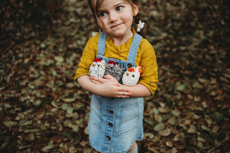 Poulet farci, pierre Plymoth, poulet en peluche, jeu de simulation, jeu ouvert, décoration sur le thème de la ferme pour enfants Mini Peck