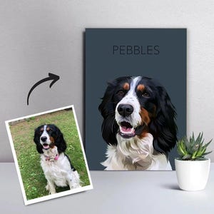I will do custom cartoon pet portrait dog cat animal cartoon