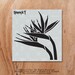 Bird of Paradise Stencil- Reusable Craft &amp; DIY Stencils - S1_01_314_S ...