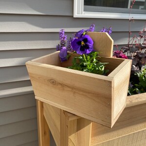 Kleine Blumenkiste aus Zedernholz