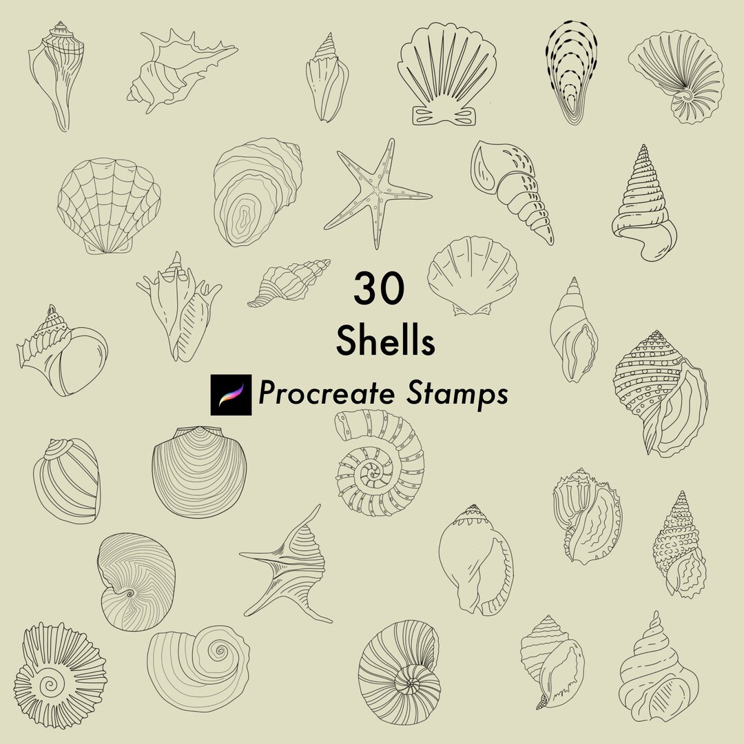Shells Procreate Stamps | Procreate Brushes | Procreate Stamps | Tattoo ...