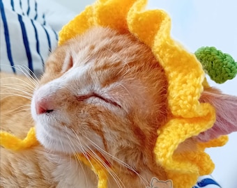 Crocheted Fruit Cat Hat: Lemon, Apple, Orange - Acrylic Yarn