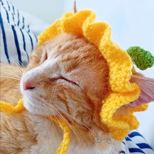 Crocheted Fruit Cat Hat: Lemon, Apple, Orange - Acrylic Yarn