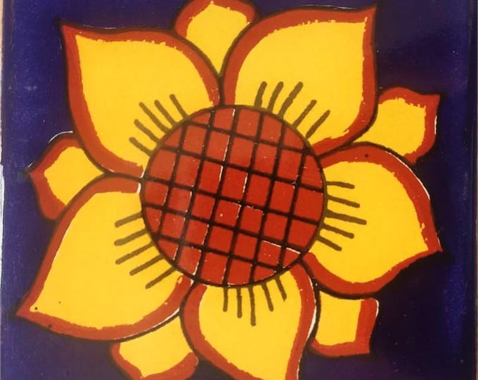 40 Tiles 6x6 inch Mexican tile ceramic handmade Talavera Spanish influence Art G#008