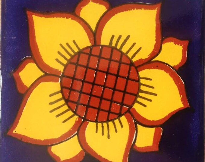 20 Tiles 6x6 inch Mexican tile ceramic handmade Talavera Spanish influence Art G#008
