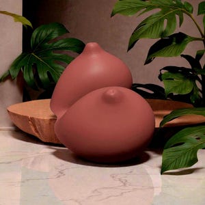 Puede incluir: Dos esculturas de senos de color terracota. Las esculturas son lisas y redondeadas, con un detalle de pezón. El fondo incluye hojas tropicales verdes y un cuenco de madera, creando una exhibición artística natural.