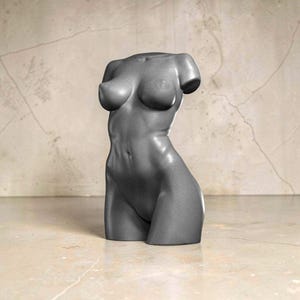 May include: A dark gray, matte-finished sculpture of a human torso. The figure features defined anatomical contours, including the chest, abdomen, and hips, presented in a smooth, solid form without arms, legs, or a head, standing upright.