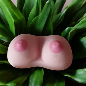 美しい女性の胸のシリコン型 - キャンドル作り、DIY石鹸、樹脂＆石膏型用の女神の胸像。フェミニスト、ボディアート、ホームデコレーションに。