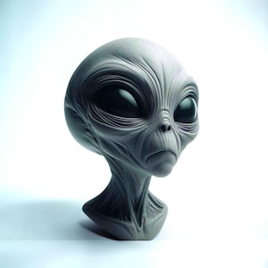 May include: A grey, sculpted bust of an extraterrestrial figure featuring an oversized, smooth cranium, deeply set and prominent black eyes, and intricate, textured skin folds around the face and neck, presented in a three-quarter view.