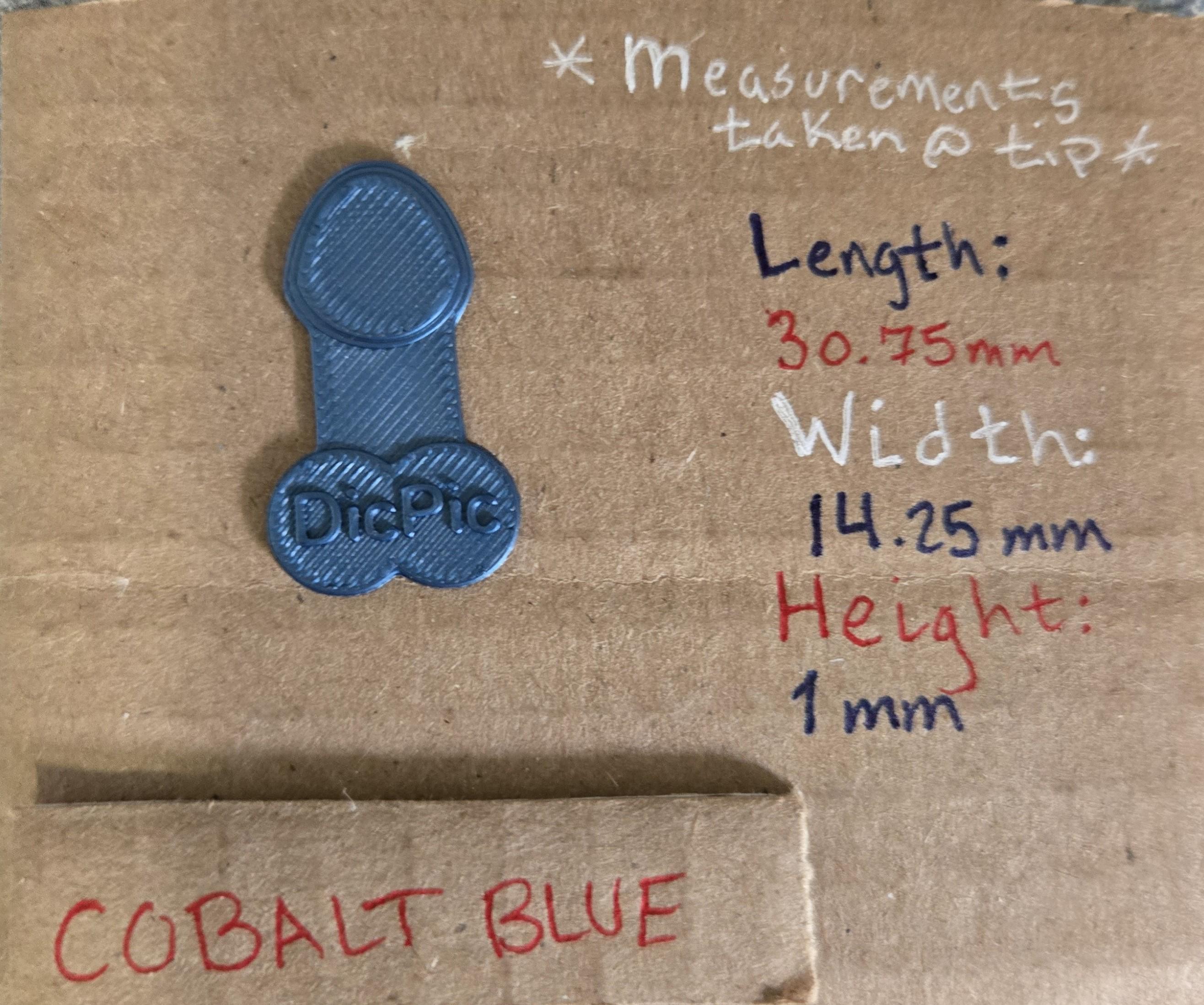 Guitar Pics DicPic Blue