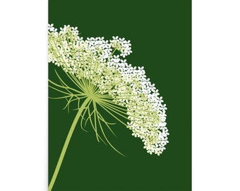 Queen Anne’s Lace Botanical Print, Minimalist Wildflower Wall Art Poster, Green Nature Illustration, Cottagecore Floral Home Decor