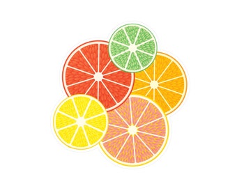 Fruit Aesthetic Sticker, Orange Lemon and Lime Waterproof Decal for Tumbler or Laptop, Cute Food Sticker