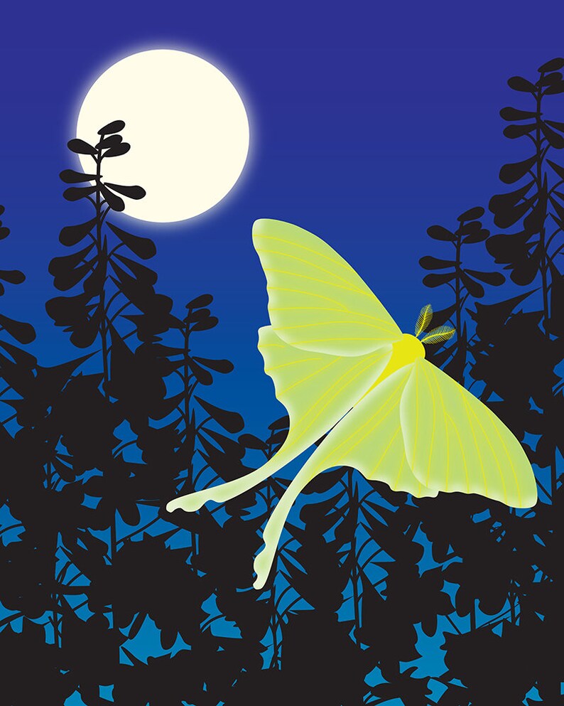 Luna Moth and Moon Art Print, Woodland Animals Wall Art, Butterfly Nursery Decor image 6