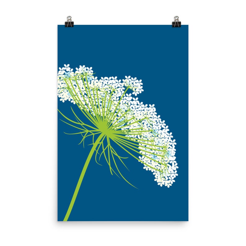 Queen Anne's Lace Botanical Art Print Woodland Flower Etsy