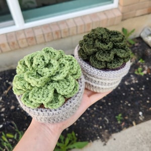 PATRON : motif succulentes au crochet l motif succulentes l succulentes l crochet l joli motif au crochet