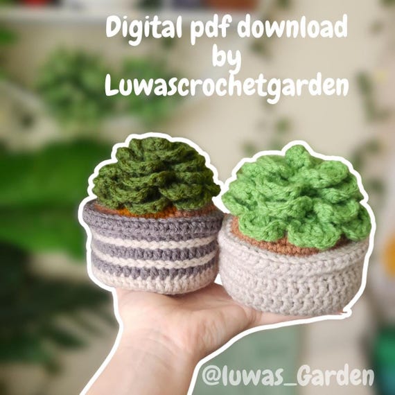 Low Sew Crochet Succulent Pattern Digital Download - Etsy