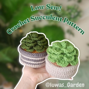 Patrón de suculenta de crochet de baja costura, descarga digital