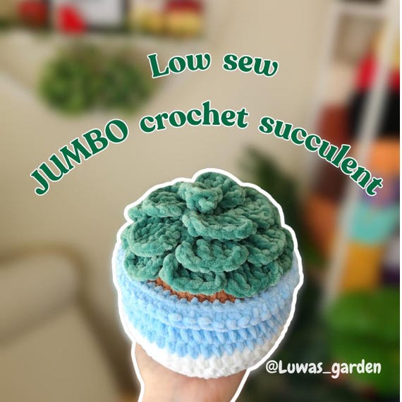 Jumbo Crochet Succulent Plant Pattern: Low Sew Design - Etsy Israel