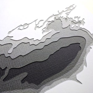 Lago Ontario - arte original de 8 x 10 papelcut