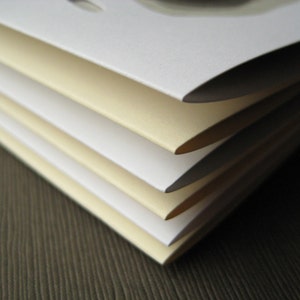 You Choose - set of 4 handcut topographical cards