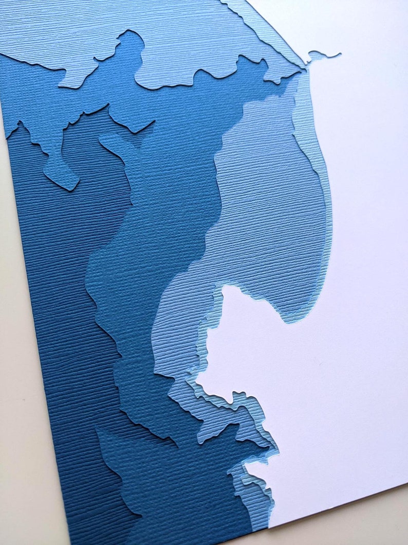 Monterey Bay original 8 x 10 papercut art image 4