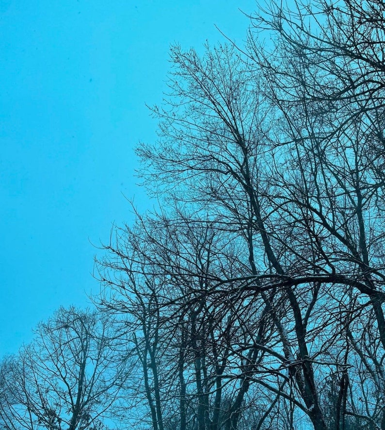 The Original Twilight Blue Filter Keychain Etsy