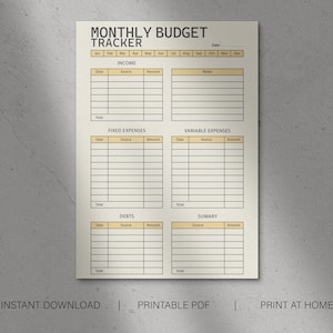 Tracker di budget mensile, panoramica del budget, pianificatore, organizzatore, finanza personale, risparmi, spese, debiti, stampabile, PDF,