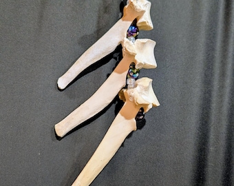 Deer vertebrae window hanger