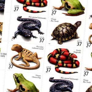 May include: A sheet of postage stamps featuring various reptiles and amphibians. Stamps include a Scarlet Kingsnake, Blue-spotted Salamander, Ornate Chorus Frog, Ornate Box Turtle, and Reticulate Collared Lizard. Each stamp has a value of 37 cents.