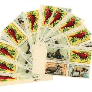 40 Wildlife Conservation Unused 8 Cent US Postage Fur Seal, Red Cardinal, Brown Pelican, Bighorn Sheep, gift for animal nature lover, 1972