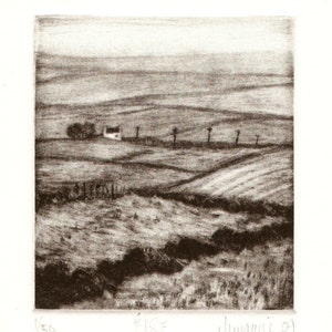 May include: A black and white etching of a landscape with a small white house in the distance. The house is surrounded by trees and a fence. The landscape is rolling hills and fields. The etching is signed "Eire" and "McWhirter 09" in the bottom right corner. The number "1/50" is in the bottom left corner.