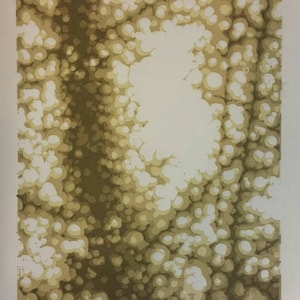 Op de afbeelding: Een bruine en witte abstracte print met een gevlekt patroon. De print is getiteld "Dappled" en gesigneerd "Hemmaune 2013".