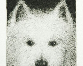 Westie - Original mezzotint print