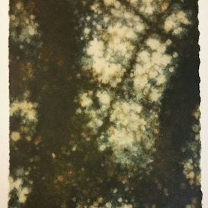 Filtering -  Original Intaglio Print