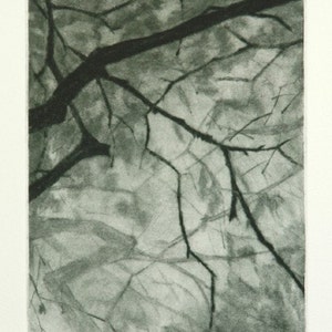 Tree no. 2 - Original drypoint