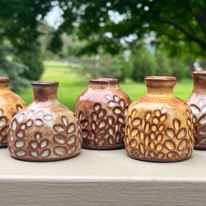 May include: A collection of five small, ceramic vases with a brown and tan color scheme. Each vase has a unique pattern of raised, leaf-like designs. The vases are arranged in a row, with a blurred green background.