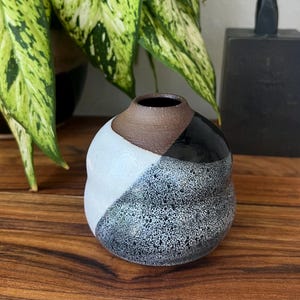 Handmade Pottery Vase, Black and White Modern Ceramics, Wheel-thrown Ceramic Vase, Handmade Home Accents, Curvy Bud Vase, Decorative Pottery