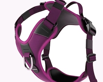 May include: Purple dog harness with black accents and a silver metal ring. The harness has adjustable straps and a quick-release buckle.