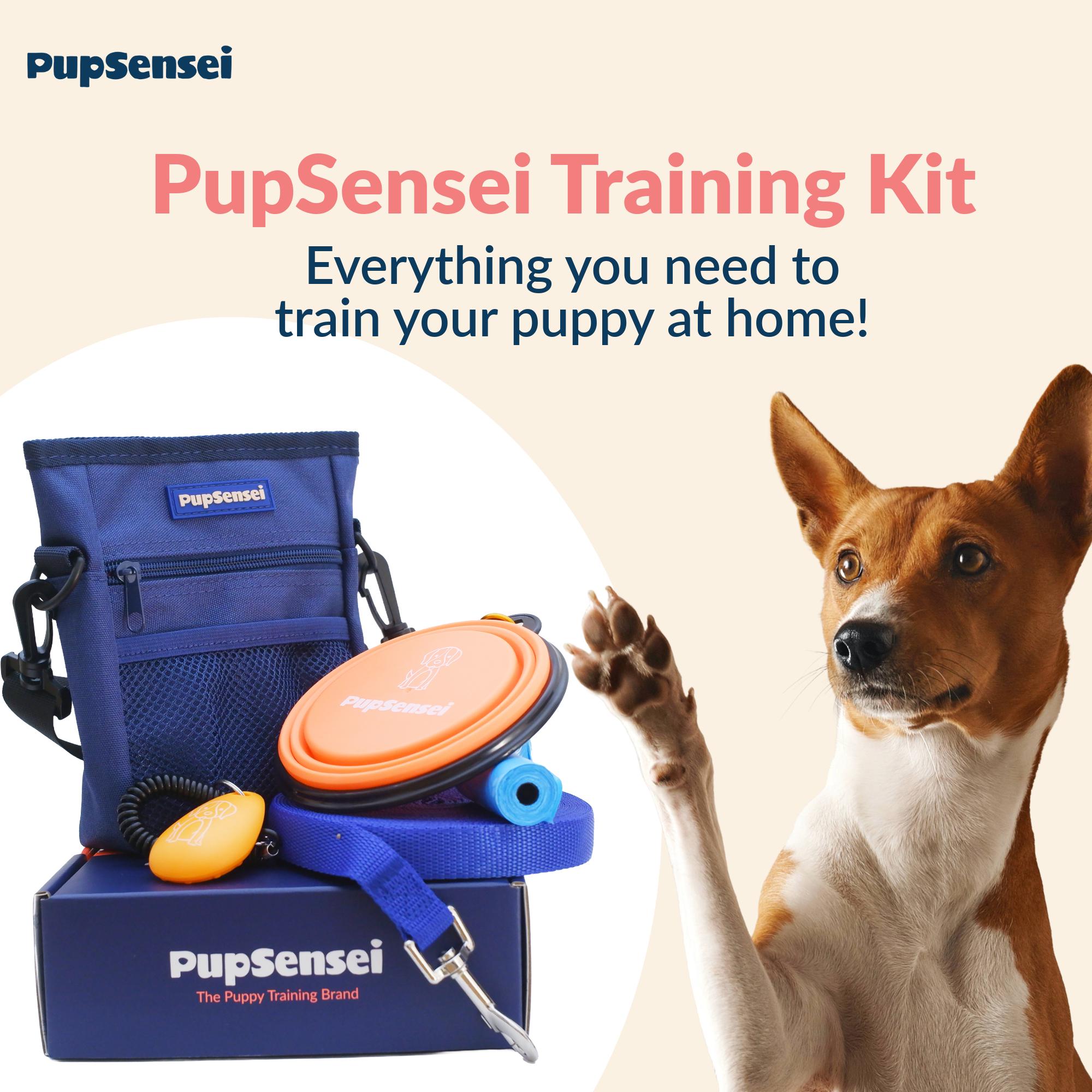 Pet Supplies Must Have For A New Puppy Puppy Welcome Kit UK