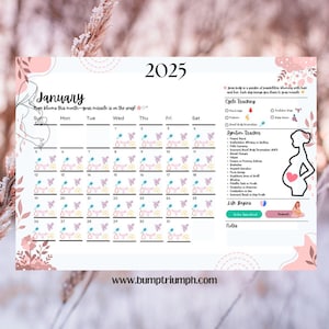 Pregnancy and Ovulation Tracker , Trying to Conceive Tracker Calendar 2025 | Printable | Digital ,Pregnancy jounery, two week wait , ttc